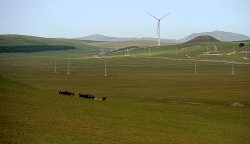 這是內(nèi)蒙古自治區(qū)通遼市境內(nèi)的阿日昆都冷風(fēng)電場(chǎng)(9月2日攝)。新華社記者 張領(lǐng) 攝